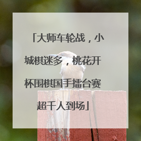 大师车轮战，小城棋迷多，桃花开杯围棋国手擂台赛超千人到场