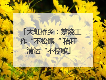大虹桥乡：禁烧工作“不松懈“ 秸秆清运“不停歇