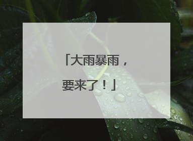 大雨暴雨，要来了！