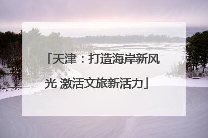 天津：打造海岸新风光 激活文旅新活力