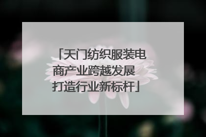 天门纺织服装电商产业跨越发展 打造行业新标杆