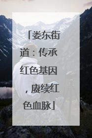 娄东街道：传承红色基因，赓续红色血脉