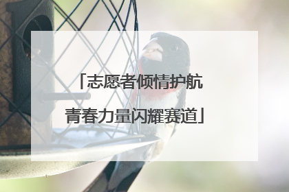 志愿者倾情护航 青春力量闪耀赛道