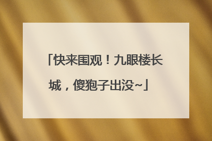 快来围观！九眼楼长城，傻狍子出没~