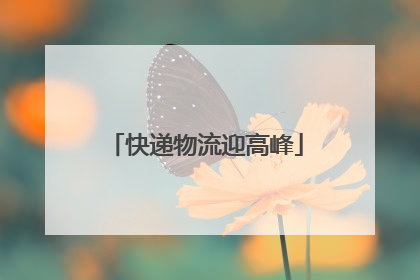 快递物流迎高峰