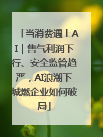 当消费遇上AI｜售气利润下行、安全监管趋严，AI浪潮下城燃企业如何破局