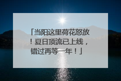 当阳这里荷花怒放！夏日顶流已上线，错过再等一年！