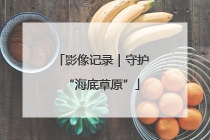 影像记录｜守护“海底草原”