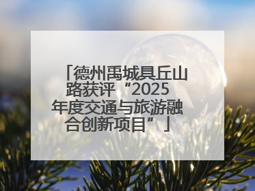德州禹城具丘山路获评“2025年度交通与旅游融合创新项目”