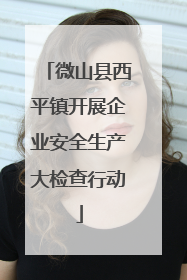 微山县西平镇开展企业安全生产大检查行动