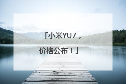 小米YU7，价格公布！