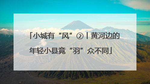 小城有“风”②丨黄河边的年轻小县竟“羽”众不同
