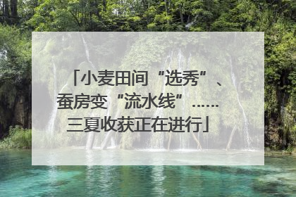 小麦田间“选秀”、蚕房变“流水线”……三夏收获正在进行