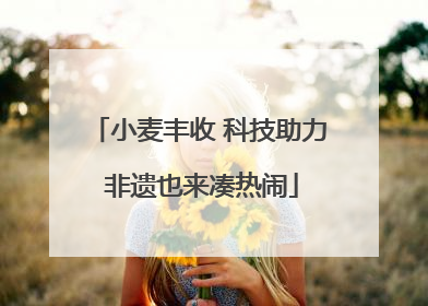 小麦丰收 科技助力 非遗也来凑热闹