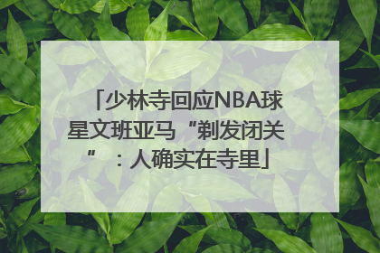 少林寺回应NBA球星文班亚马“剃发闭关”：人确实在寺里