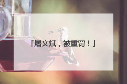 屠文斌，被重罚！
