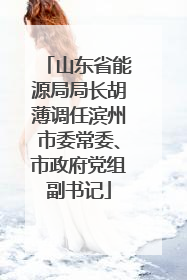 山东省能源局局长胡薄调任滨州市委常委、市政府党组副书记