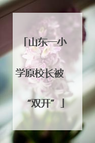 山东一小学原校长被“双开”