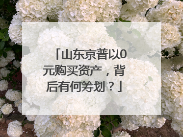 山东京普以0元购买资产，背后有何筹划？