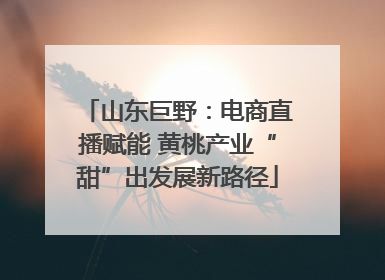 山东巨野：电商直播赋能 黄桃产业“甜”出发展新路径