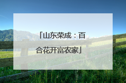 山东荣成：百合花开富农家
