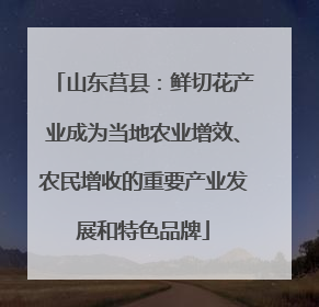 山东莒县：鲜切花产业成为当地农业增效、农民增收的重要产业发展和特色品牌