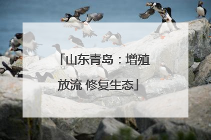 山东青岛：增殖放流 修复生态