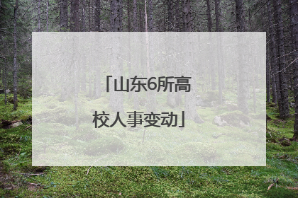 山东6所高校人事变动
