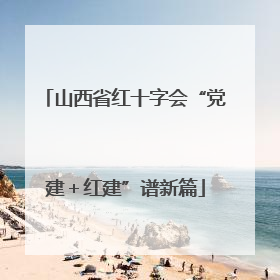 山西省红十字会“党建＋红建”谱新篇