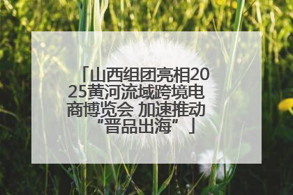 山西组团亮相2025黄河流域跨境电商博览会 加速推动“晋品出海”
