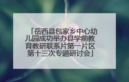 岳西县包家乡中心幼儿园成功举办县学前教育教研联系片第一片区第十三次专题研讨会