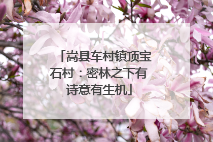 嵩县车村镇顶宝石村：密林之下有诗意有生机