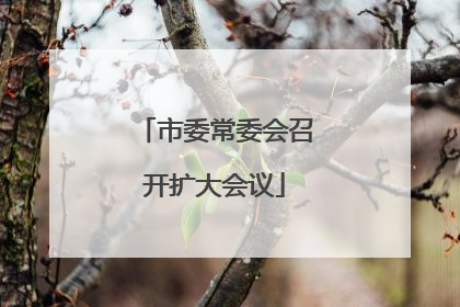 市委常委会召开扩大会议