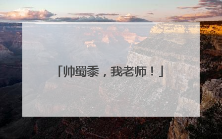 帅蜀黍，我老师！