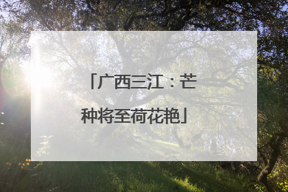 广西三江：芒种将至荷花艳