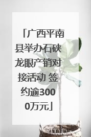 广西平南县举办石硖龙眼产销对接活动 签约逾3000万元