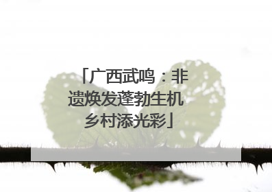 广西武鸣：非遗焕发蓬勃生机 乡村添光彩