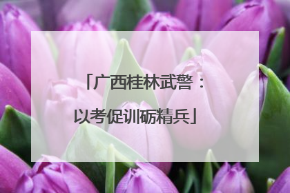 广西桂林武警：以考促训砺精兵