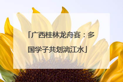 广西桂林龙舟赛：多国学子共划漓江水