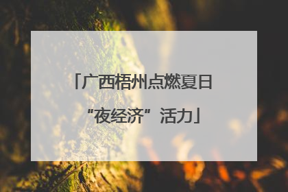 广西梧州点燃夏日“夜经济”活力