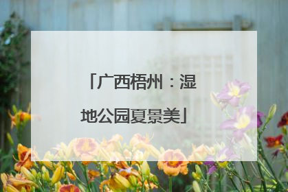 广西梧州：湿地公园夏景美