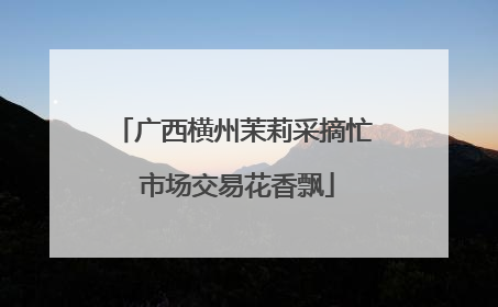 广西横州茉莉采摘忙 市场交易花香飘