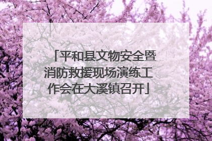 平和县文物安全暨消防救援现场演练工作会在大溪镇召开