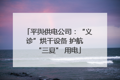 平舆供电公司：“义诊”烘干设备 护航 “三夏” 用电