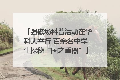 强磁场科普活动在华科大举行 百余名中学生探秘“国之重器”