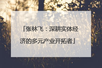 张林飞：深耕实体经济的多元产业开拓者