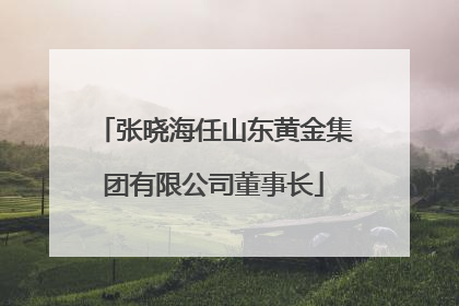 张晓海任山东黄金集团有限公司董事长