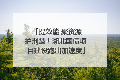 提效能 聚资源 护荆楚！湖北国债项目建设跑出加速度