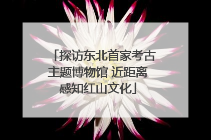 探访东北首家考古主题博物馆 近距离感知红山文化