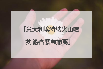 意大利埃特纳火山喷发 游客紧急撤离